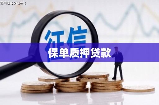 达孜保单质押贷款