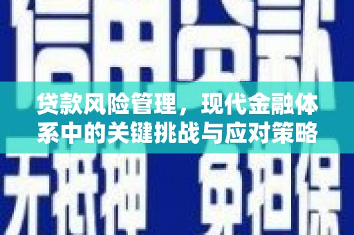 达孜贷款风险管理，现代金融体系中的关键挑战与应对策略