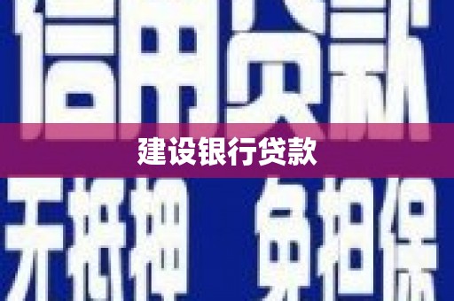 达孜建设银行贷款