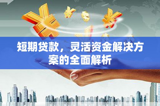 达孜短期贷款，灵活资金解决方案的全面解析