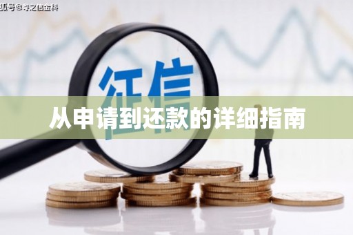 达孜从申请到还款的详细指南