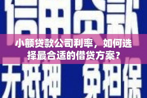 达孜小额贷款公司利率，如何选择最合适的借贷方案？