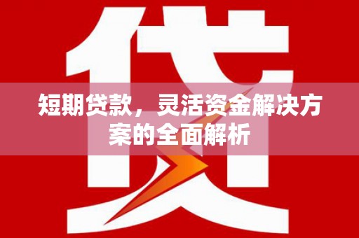 达孜短期贷款，灵活资金解决方案的全面解析