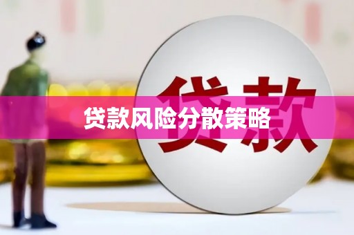 达孜贷款风险分散策略
