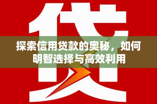 达孜探索信用贷款的奥秘，如何明智选择与高效利用