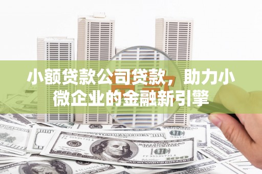 达孜小额贷款公司贷款，助力小微企业的金融新引擎