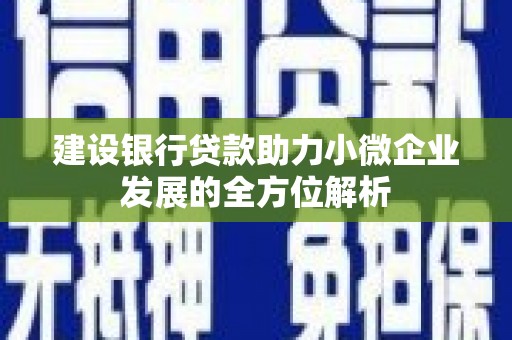 达孜建设银行贷款助力小微企业发展的全方位解析