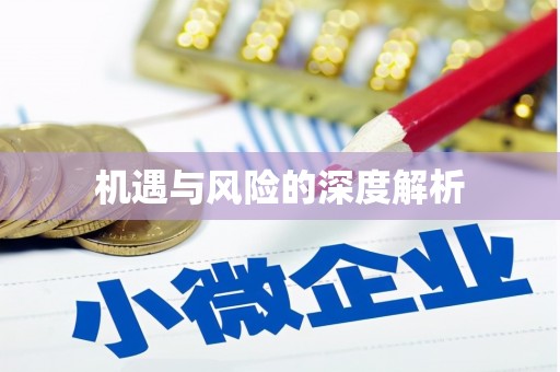 达孜机遇与风险的深度解析