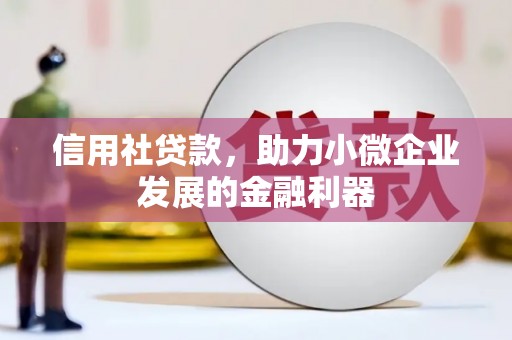达孜信用社贷款，助力小微企业发展的金融利器