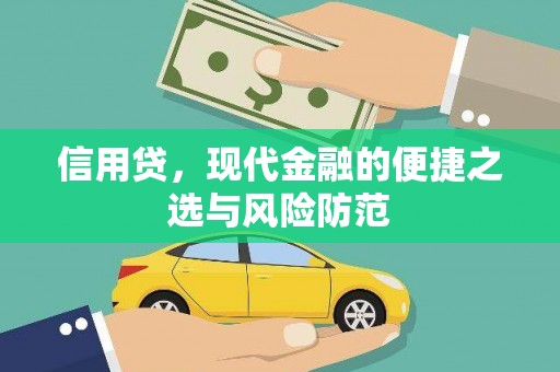达孜信用贷，现代金融的便捷之选与风险防范