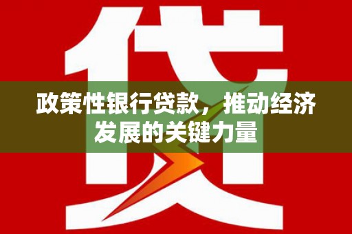 达孜政策性银行贷款，推动经济发展的关键力量