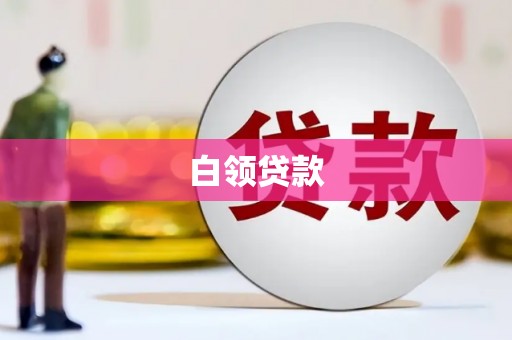 达孜白领贷款