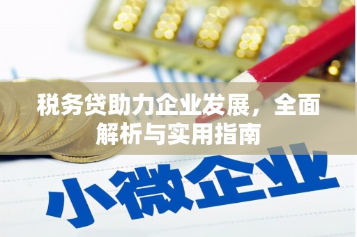 达孜税务贷助力企业发展，全面解析与实用指南