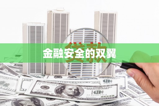 达孜金融安全的双翼