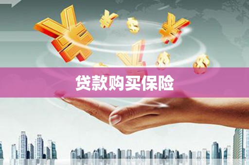 达孜贷款购买保险