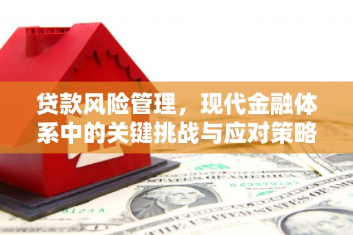 达孜贷款风险管理，现代金融体系中的关键挑战与应对策略
