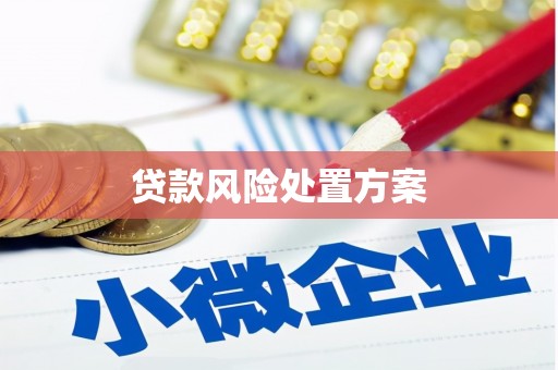 达孜贷款风险处置方案