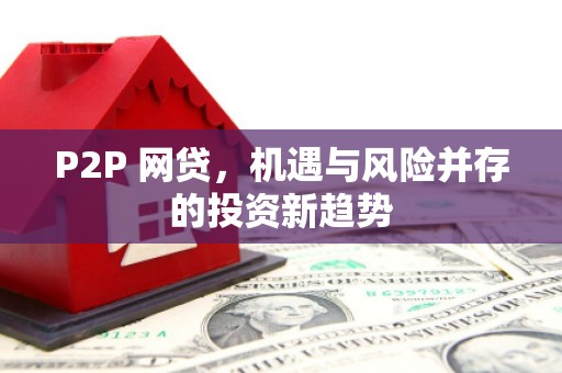达孜P2P 网贷，机遇与风险并存的投资新趋势