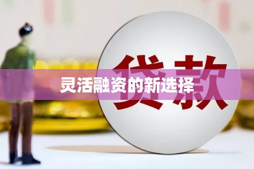 达孜灵活融资的新选择