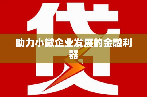达孜助力小微企业发展的金融利器