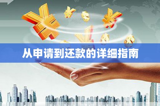 达孜从申请到还款的详细指南