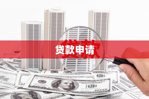 达孜贷款申请