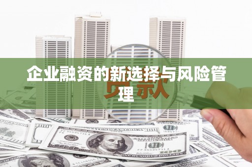 达孜企业融资的新选择与风险管理