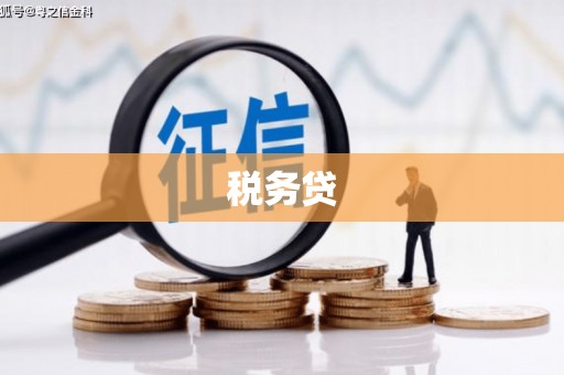 达孜税务贷