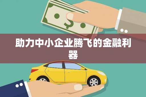 达孜助力中小企业腾飞的金融利器