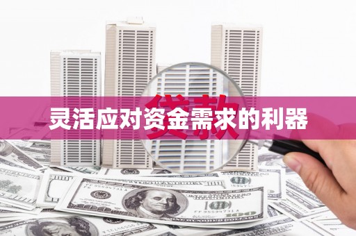 达孜灵活应对资金需求的利器