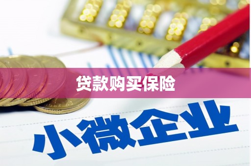 达孜贷款购买保险