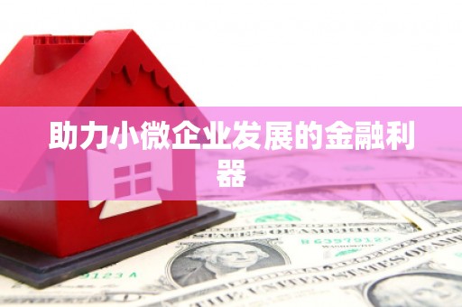 达孜助力小微企业发展的金融利器