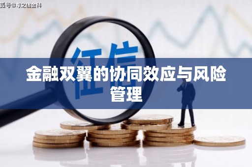 达孜金融双翼的协同效应与风险管理