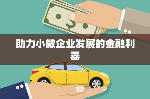 达孜助力小微企业发展的金融利器