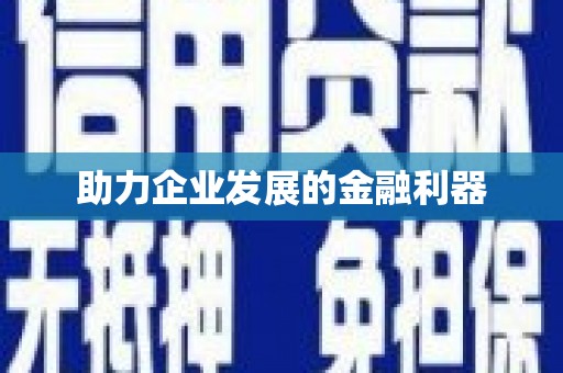 达孜助力企业发展的金融利器