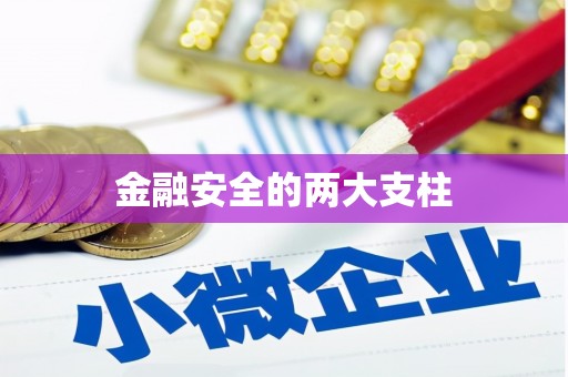 达孜金融安全的两大支柱