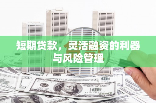 达孜短期贷款，灵活融资的利器与风险管理