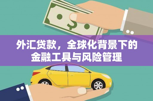 达孜外汇贷款，全球化背景下的金融工具与风险管理
