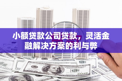 达孜小额贷款公司贷款，灵活金融解决方案的利与弊