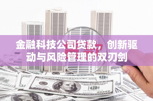 达孜金融科技公司贷款，创新驱动与风险管理的双刃剑