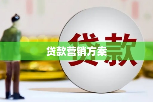 达孜贷款营销方案